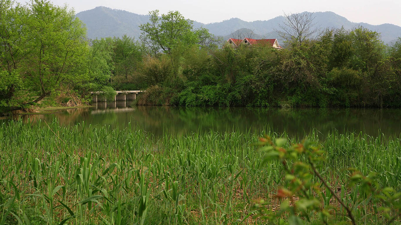 西溪国家湿地公园