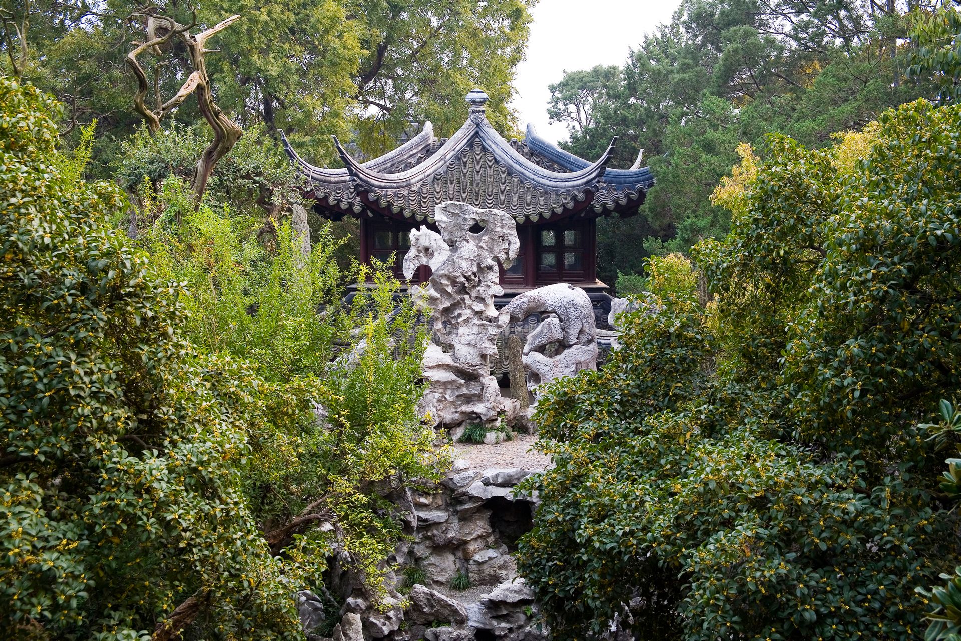 狮子林