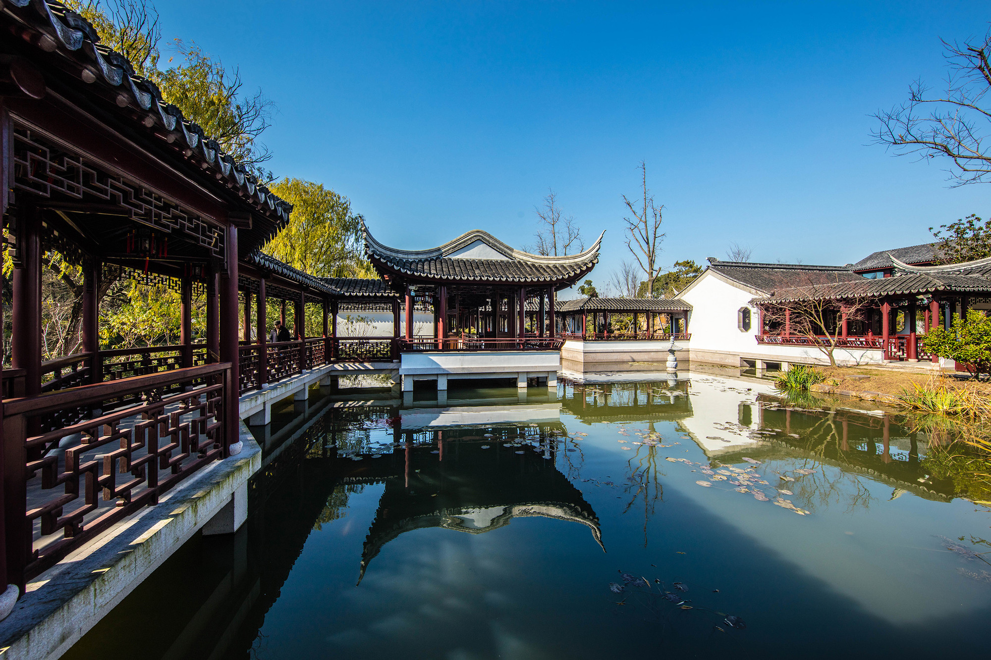 虎丘