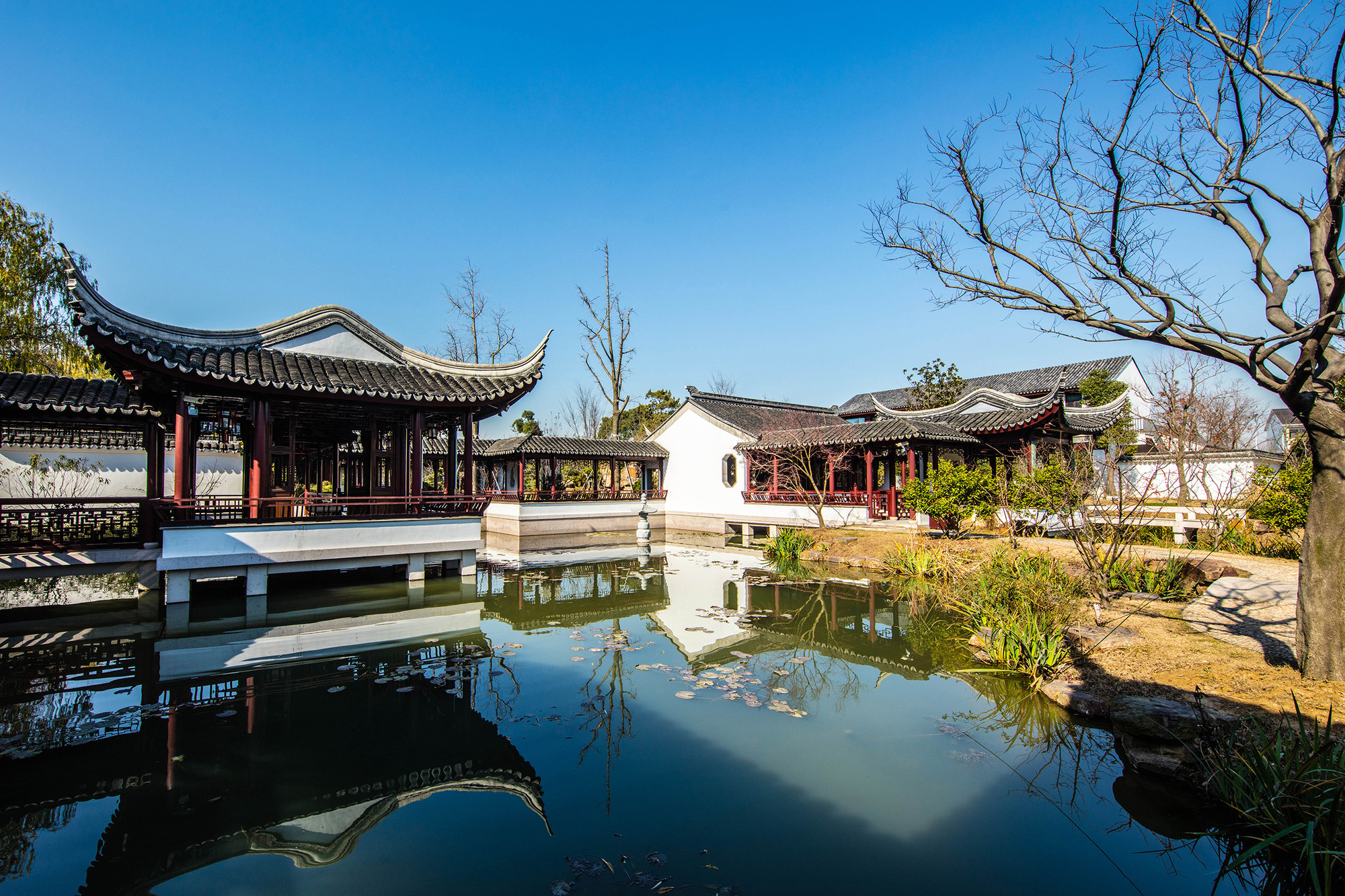 虎丘