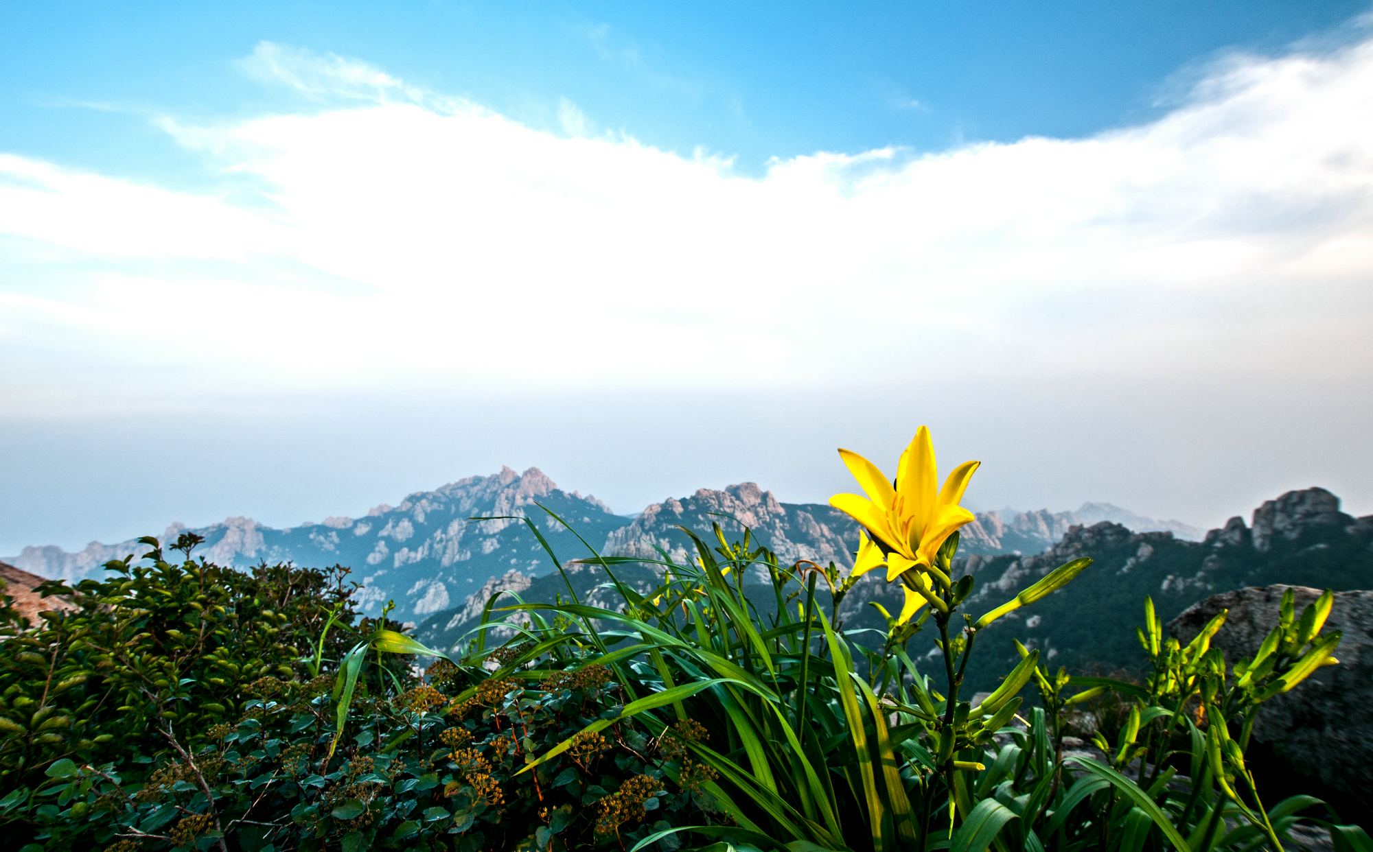 崂山