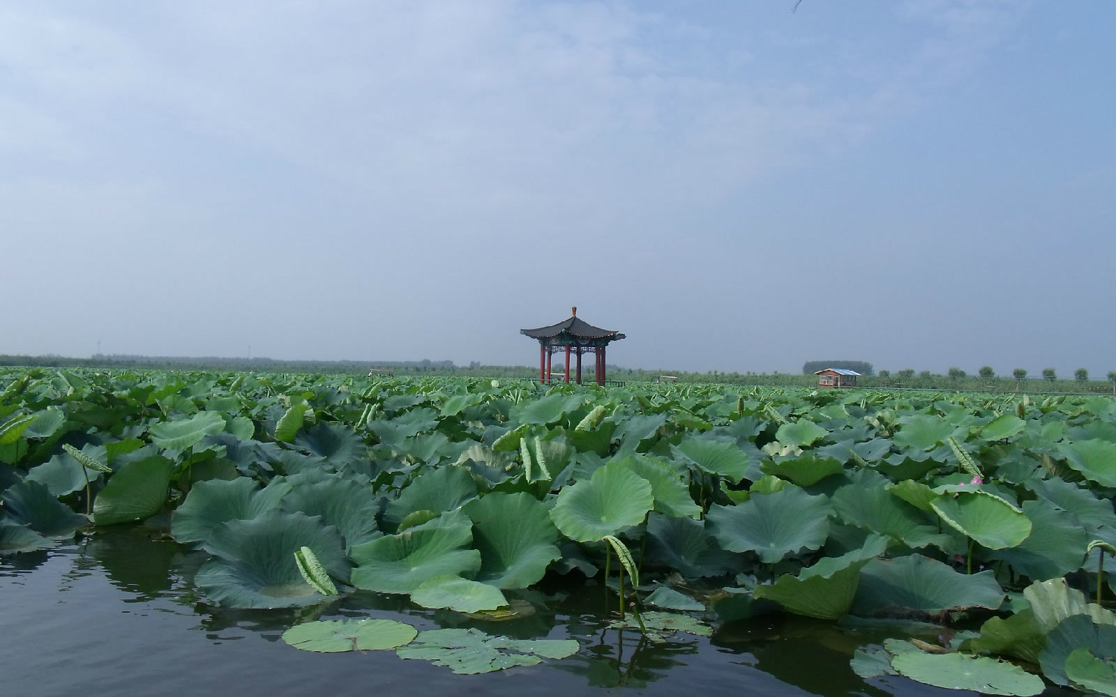 baiyangdian