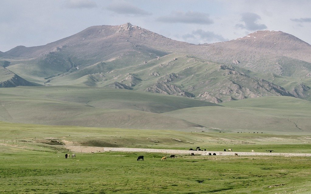 bayanbulak