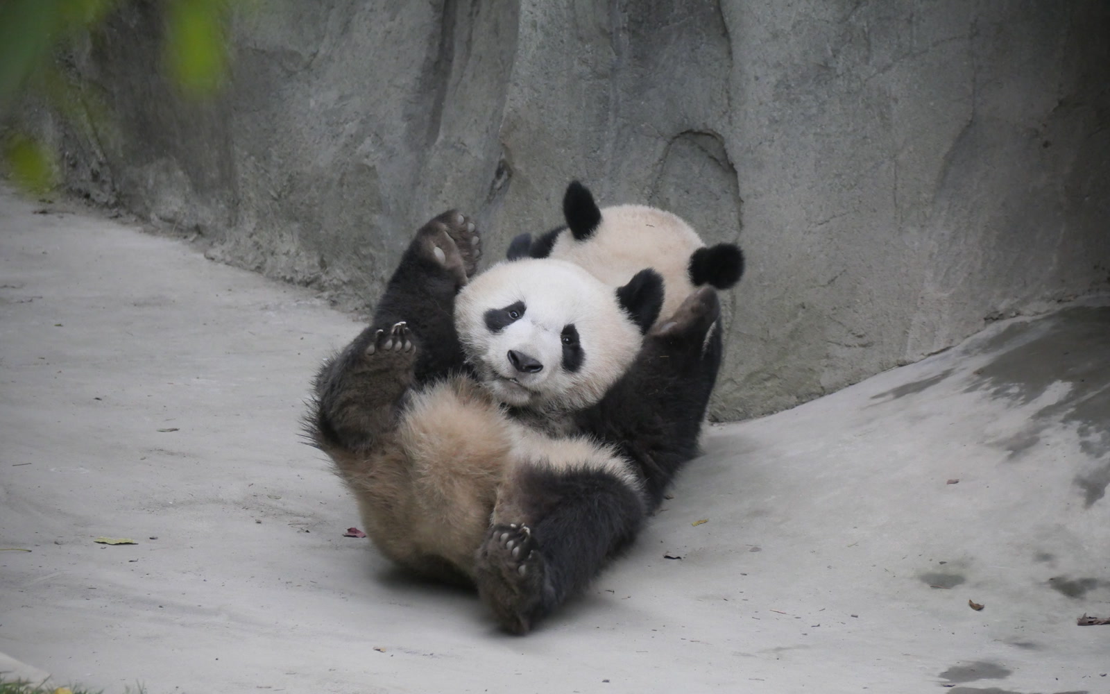 Chengdu