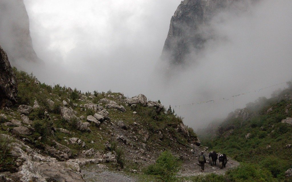 diebu