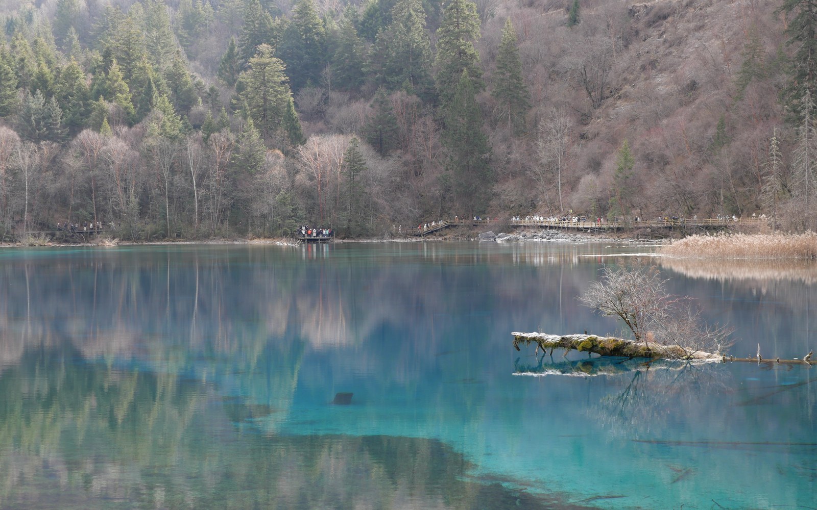 jiuzhaigou