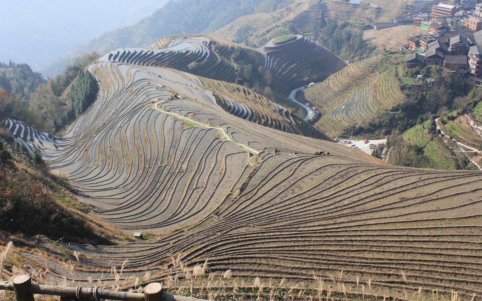 longsheng
