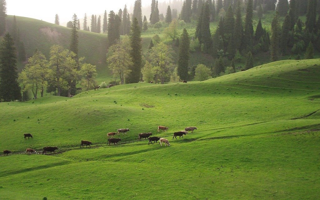 nalati