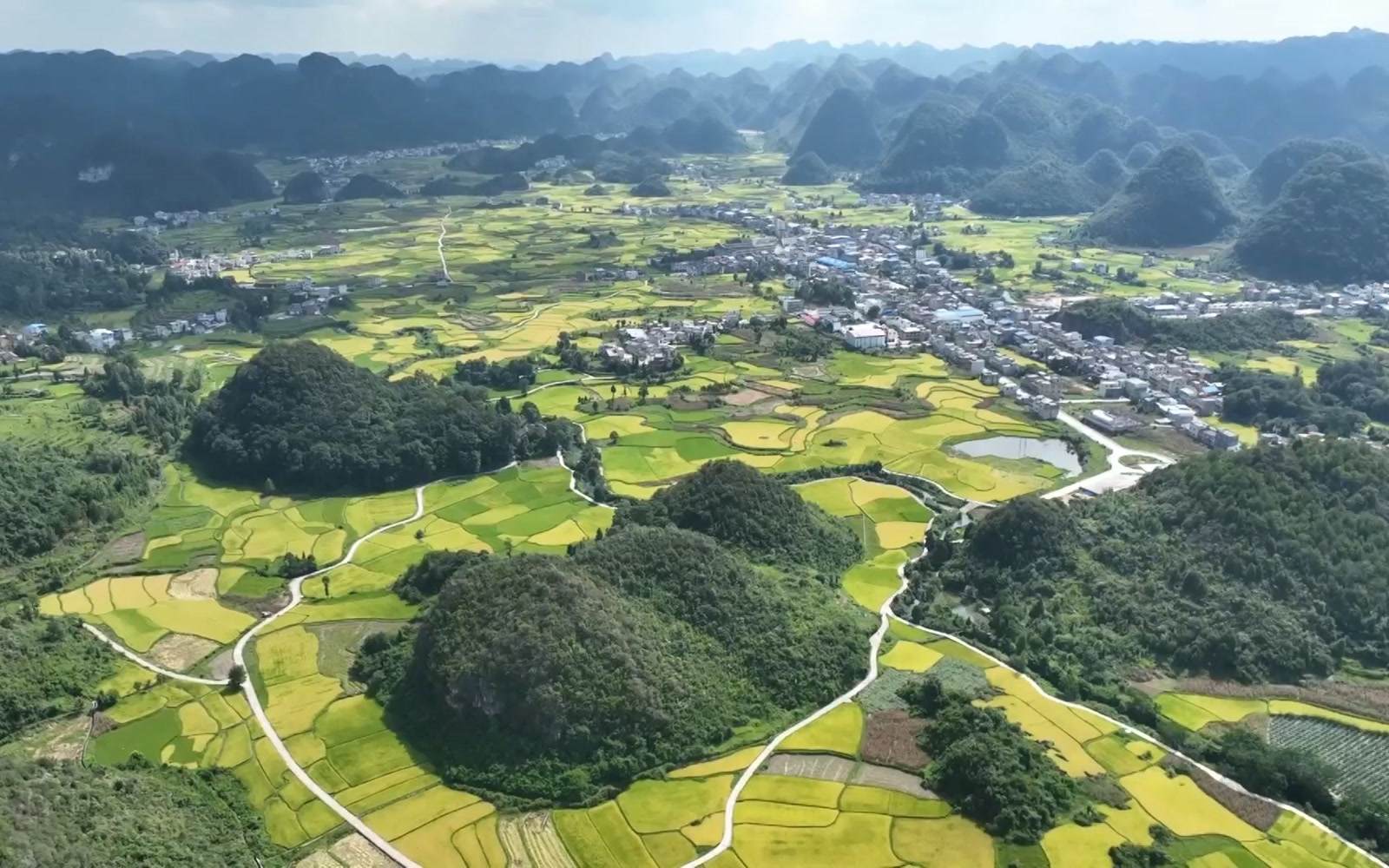 pingtang