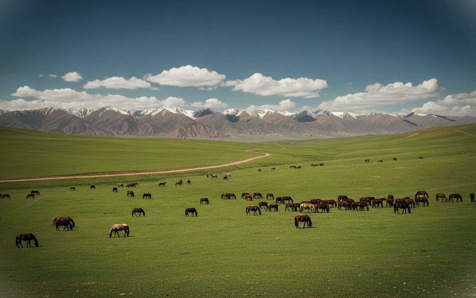 Shandan Horse Ranch Zhangye