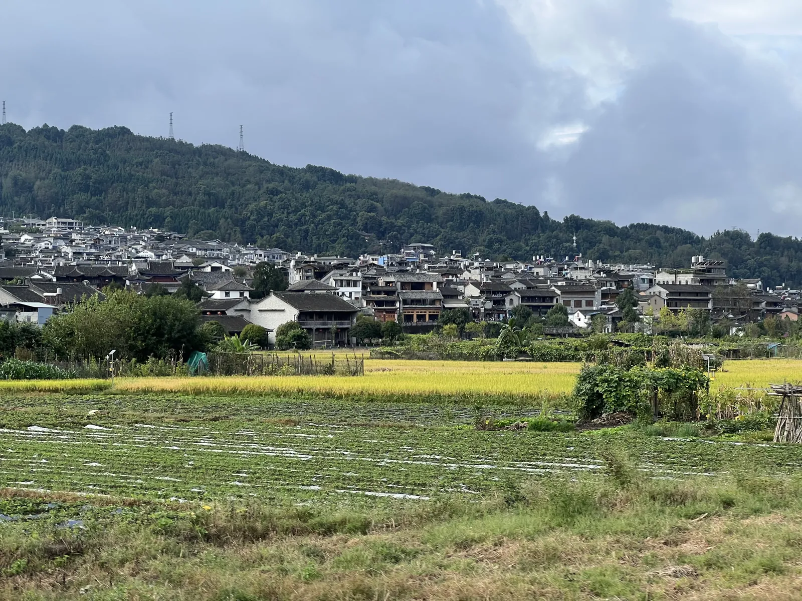 Tengchong