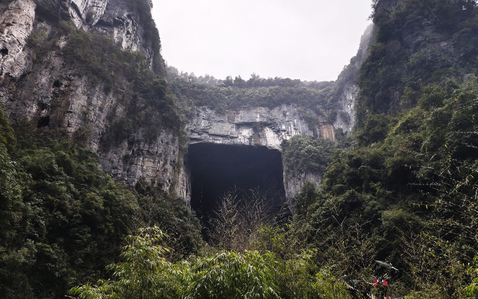 wulong