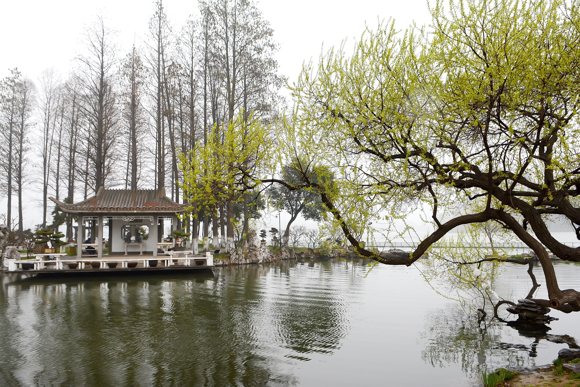 Xuanwu Lake, Nanjing
