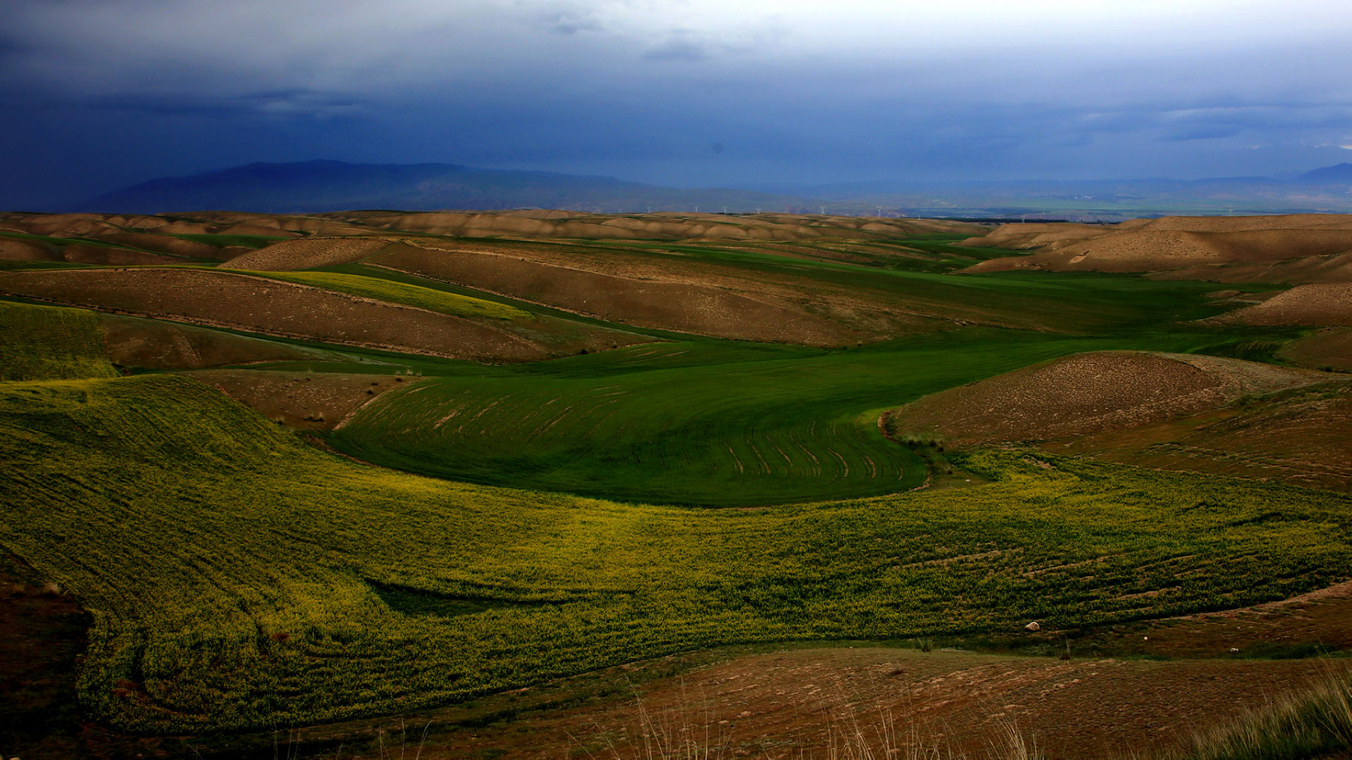 Kalajun Grassland, Xinjiang