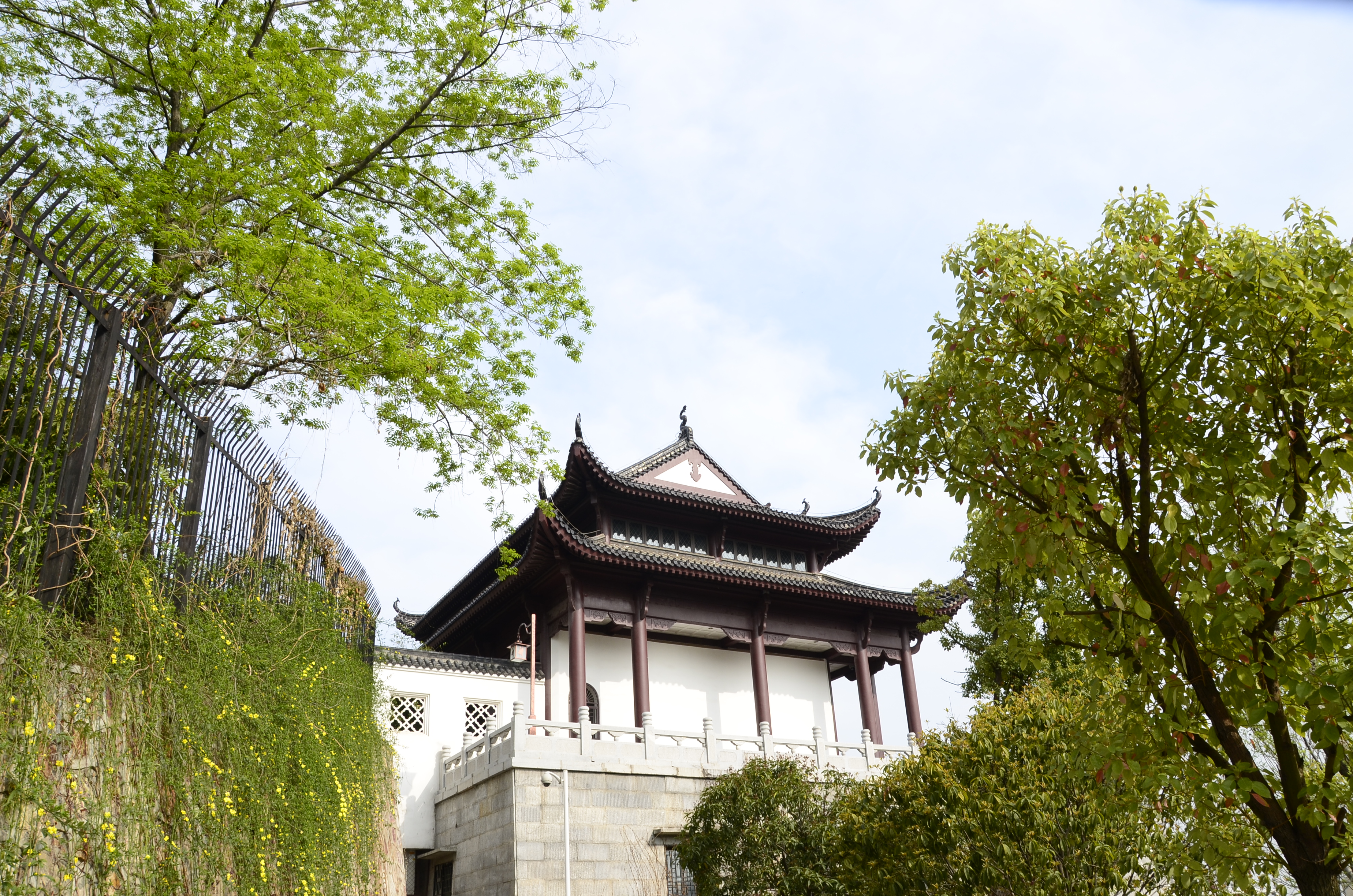 Snake Hill, Wuhan