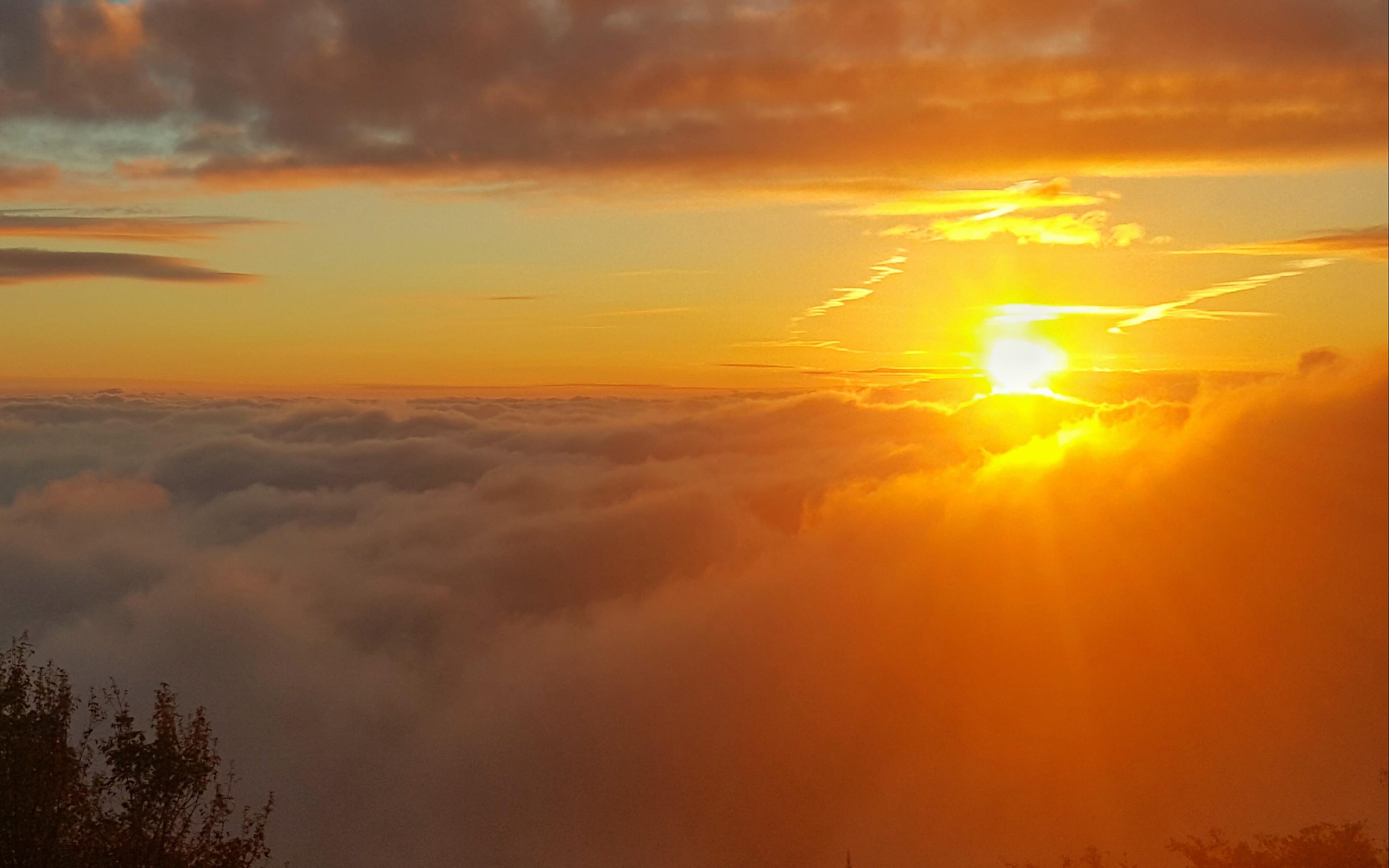 Img Alishan