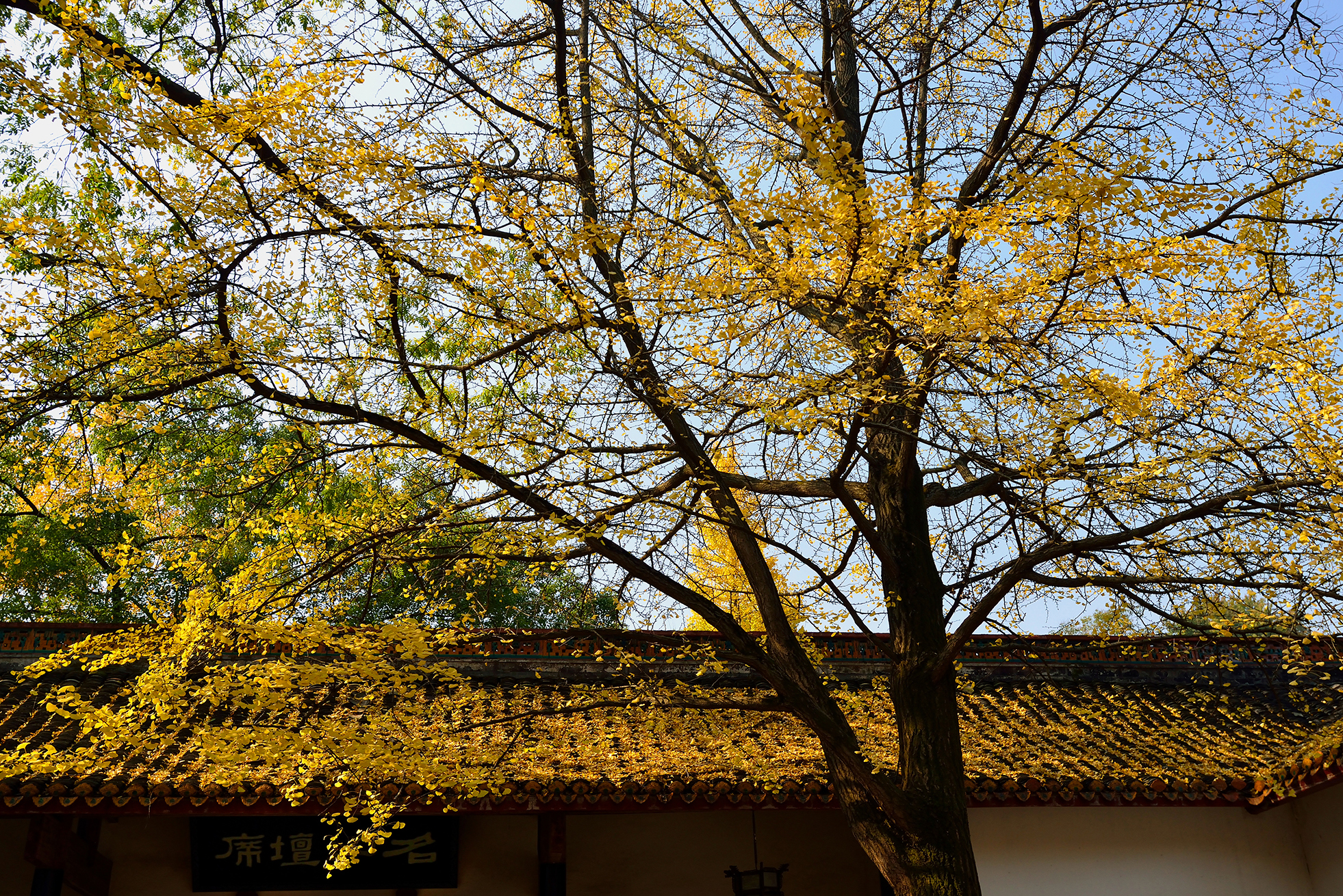 Yuelu Academy, Changsha